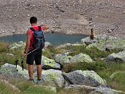55 La marmotta di fronte ad intruso si pone in sentinella